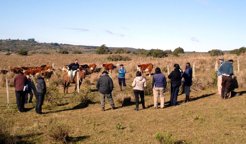 Recorrida de cria 3 - Ignacio